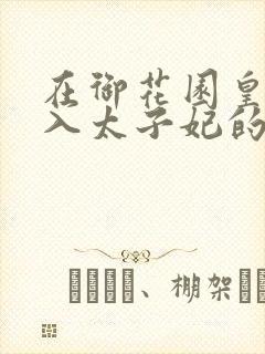 在御花园皇上进入太子妃的小说