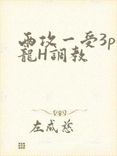 两攻一受3p双龙H调教