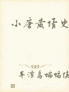 小唐黄倩史