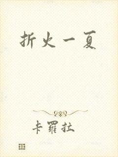 折火一夏封面