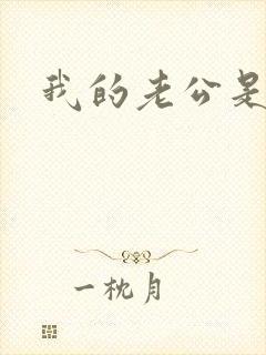 我的老公是冥王封面