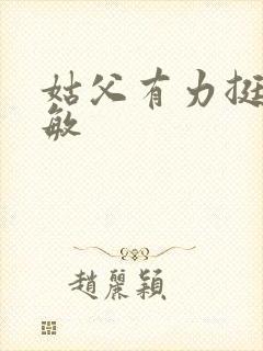 姑父有力挺送赵敏