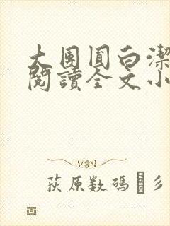 大团圆白洁免费阅读全文小说