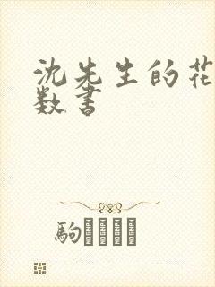 沈先生的花式调数书