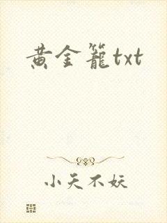 黄金笼txt