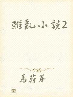 杂乱小说2