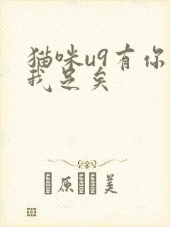 猫咪u9有你有我足矣封面