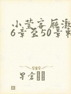 小莹客厅激情46章至50章软件介绍