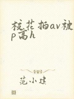 校花拍av被np高h