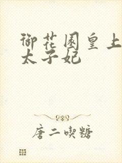 御花园皇上撞着太子妃