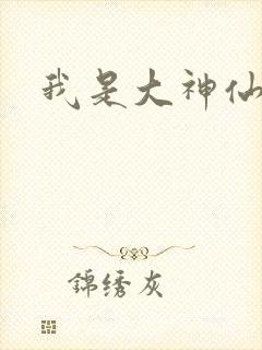 我是大神仙小说