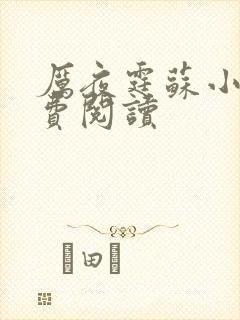 厉夜霆苏小汐免费阅读