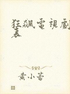 狂飙电视剧演员表封面