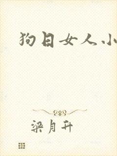 狗日女人小说