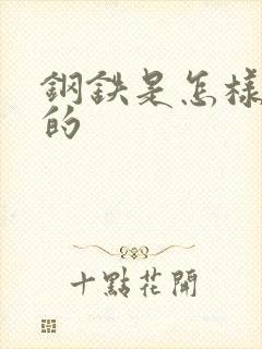 钢铁是怎样练成的封面