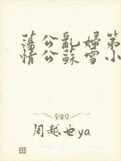 荡公乱妇第1章情公苏雪小说