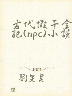 古代假千金挨日记(npc)小说