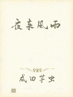 夜来风雨封面