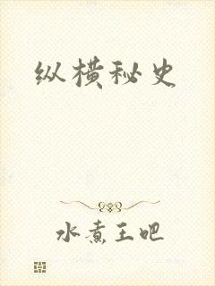 纵横秘史封面