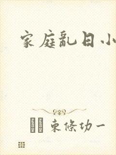 家庭乱日小说