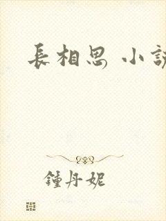 长相思 小说
