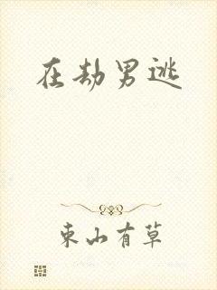 在劫男逃封面