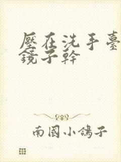 压在洗手台看着镜子干