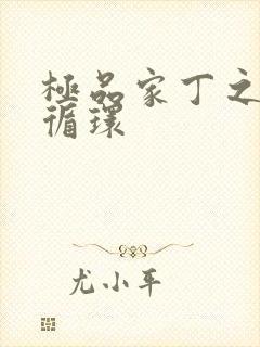 极品家丁之因果循环