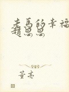 老马的幸福生活赵思思