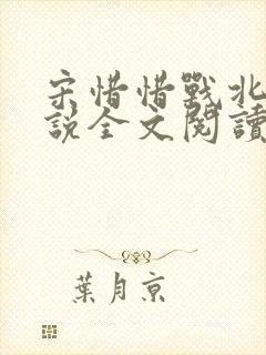 宋惜惜战北望小说全文阅读封面