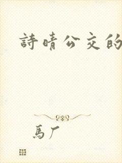 诗晴公交的小说封面