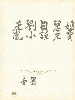 老刘日儿媳妇张岚小说免费阅读