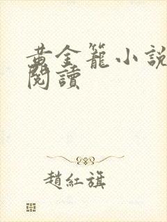 黄金笼小说免费阅读