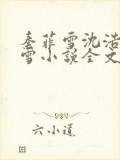 秦菲雪沈浩秦菲雪小说全文免费阅读求书