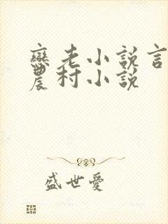 恋老小说言情网农村小说