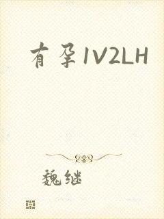 有孕1V2LH