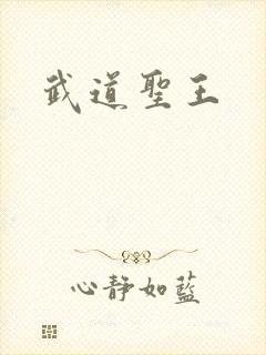 武道圣王封面