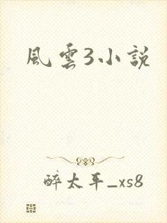 风云3小说