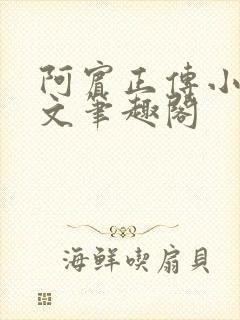 阿宾正传小说全文笔趣阁