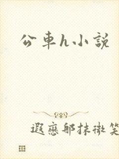 公车h小说