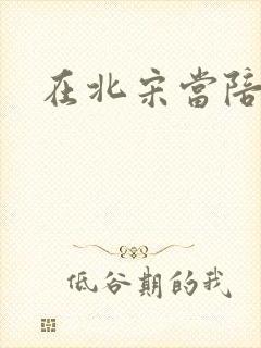 在北宋当陪房