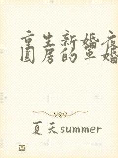 重生新婚夜正在圆房的军婚