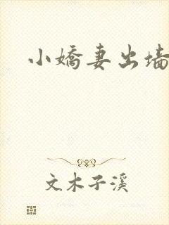 小娇妻出墙记封面