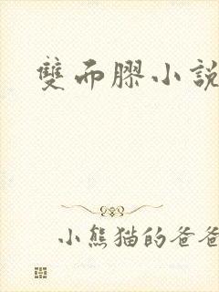 双面胶小说封面