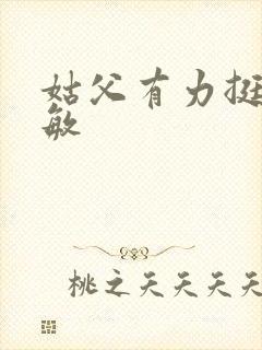 姑父有力挺送赵敏