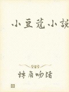小豆蔻小说
