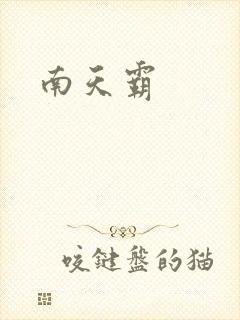 南天霸封面