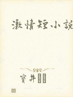 激情短小说
