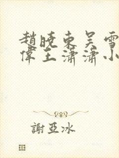 赵晓东吴雪晴郑伟王潇潇小说名字