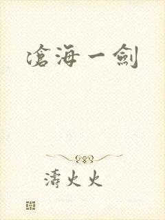 沧海一剑封面